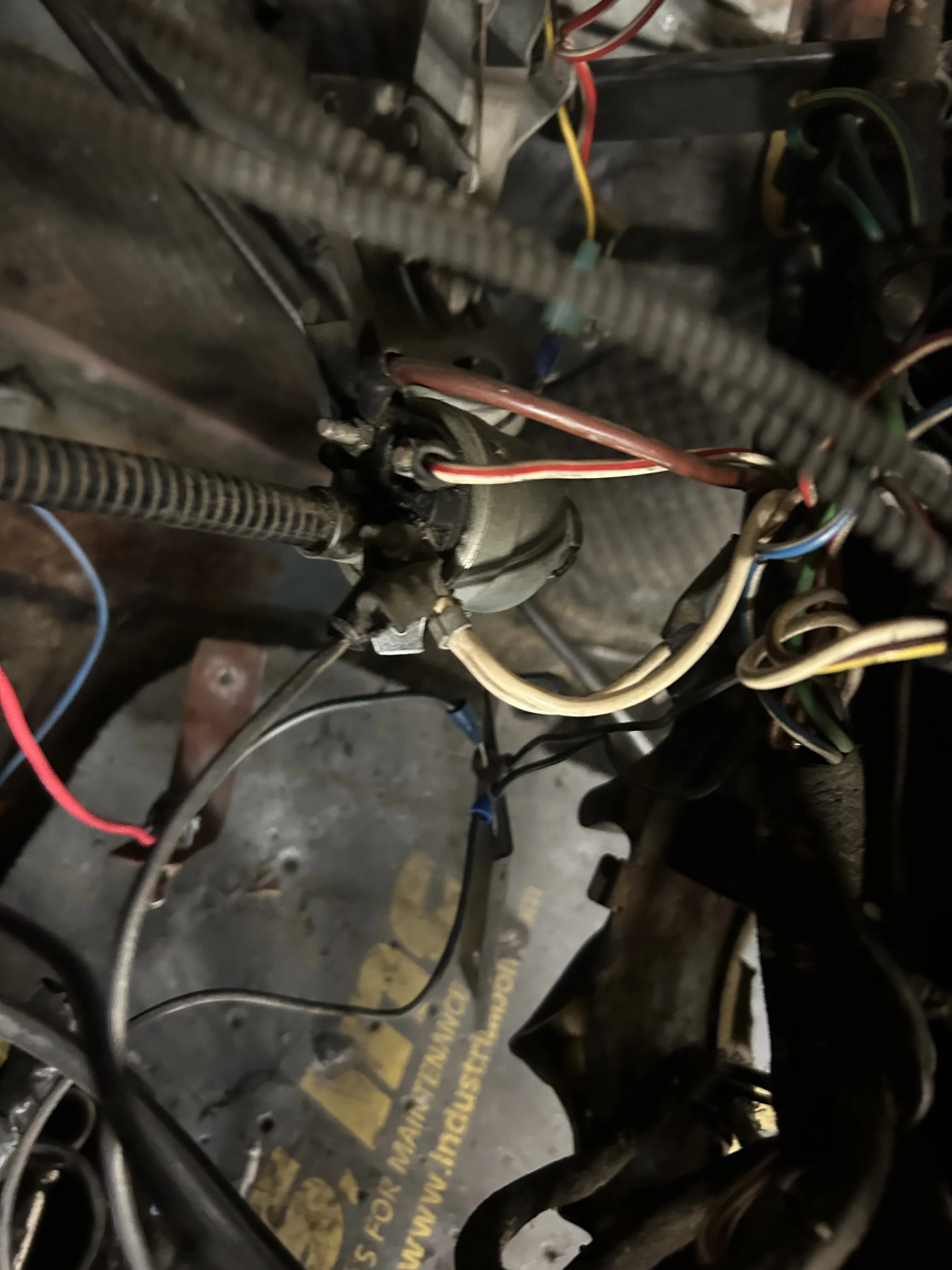 Volvo P1800 image 20